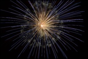 Fireworks Advice for Coalville Pets