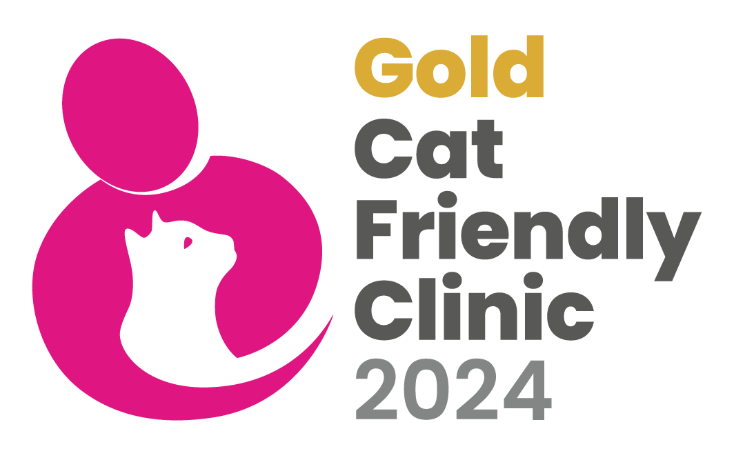 Cat Friendly Clinic | Cockburn Vets