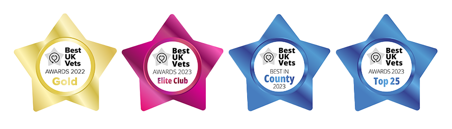 Award Winning Vet Practice in Coalville | Cockburn Vets