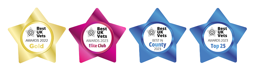 Award Winning Vet Practice in Coalville | Cockburn Vets