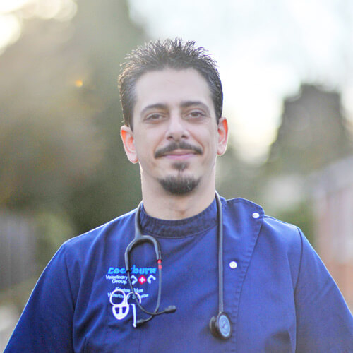 cockburn-veterinary-group-vet-in-coalville-staff-Constantinos-Bikos-3