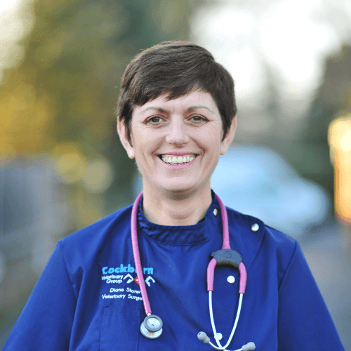 cockburn-veterinary-group-vet-in-coalville-staff-Diane-Storer-2020