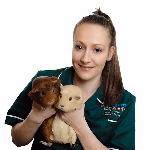 cockburn-veterinary-group-vet-in-coalville-staff-Laura-Critchley