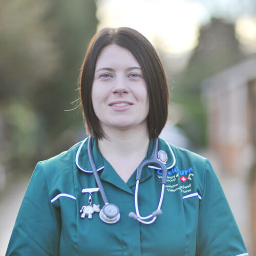 cockburn-veterinary-group-vet-in-coalville-staff-maxine-treadwell