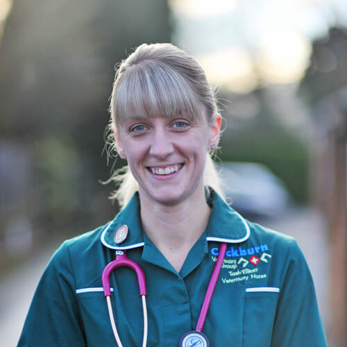 cockburn-veterinary-group-vet-in-coalville-staff-tash-elliott