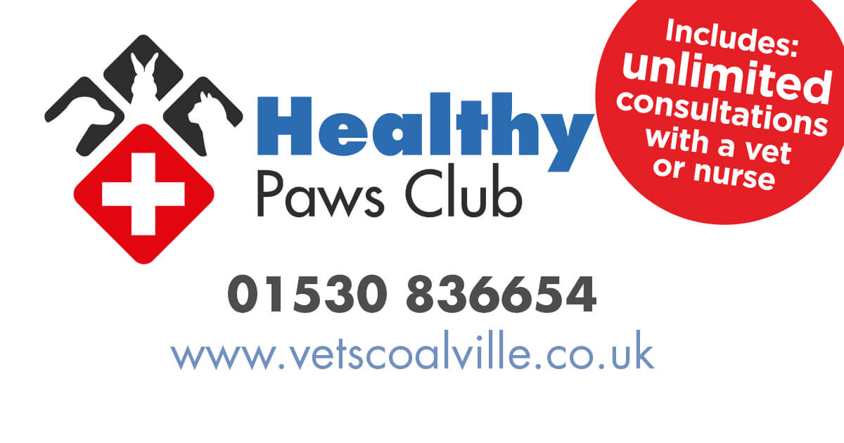 Cockburn Vets Healthy Pet Clubs Healthy Paws Club & Junior Paws Club