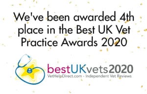 Cockburn Vets awarded 4th place in best uk vet practice awards