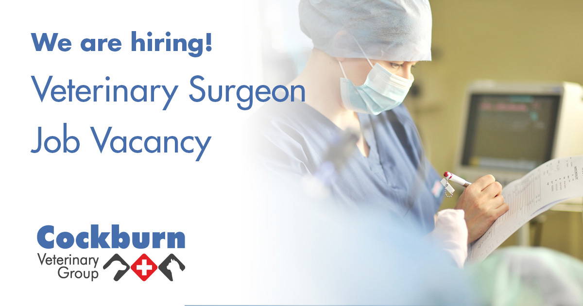 Veterinary Surgeon Job vacancy Cockburn Vets Coalville, Leicestershire