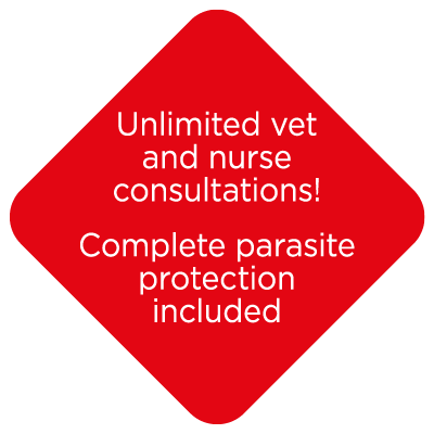 Unlimited Vet and Nurse Consultations | Cockburn Vets Healthy Paws Club