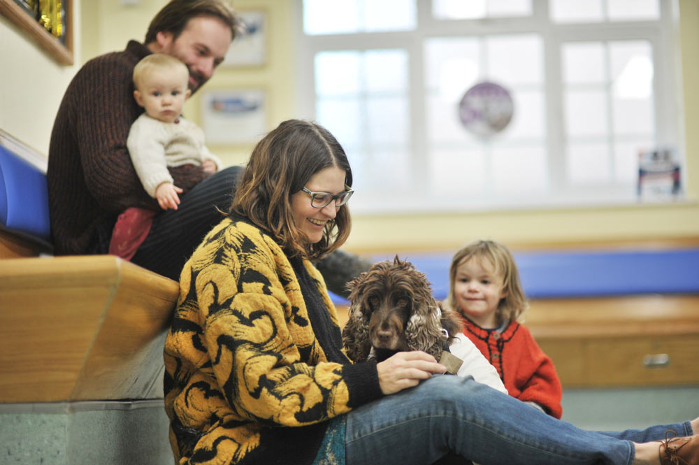 dog friendly vet in coalville cockburn vets 4