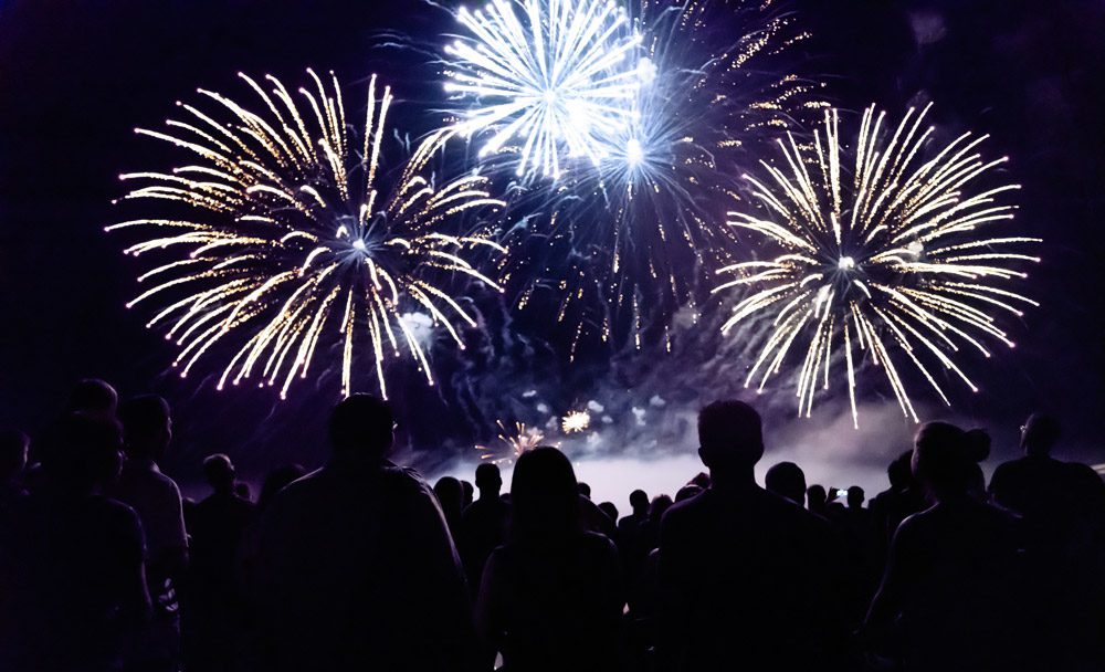 How to keep your pet calm during fireworks | Cockburn Vets
