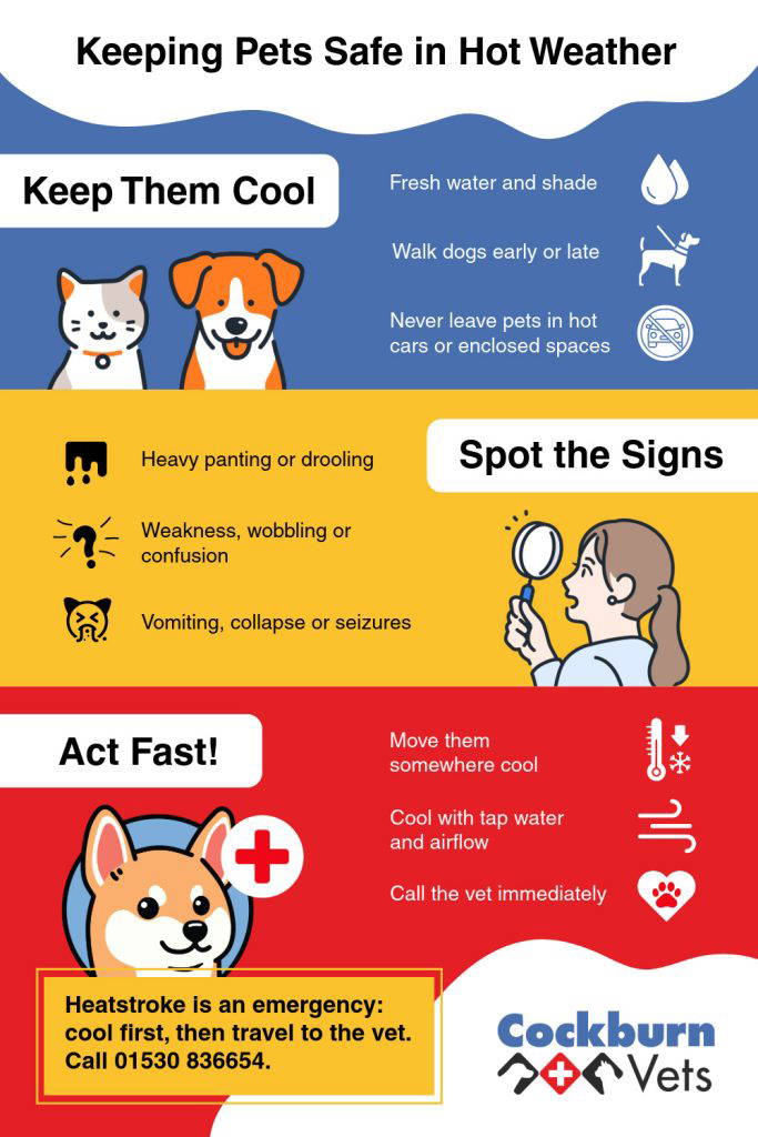 Keeping pets safe in hot weather | Cockburn Vets